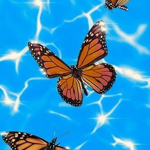 Meet your Posher, Pastell